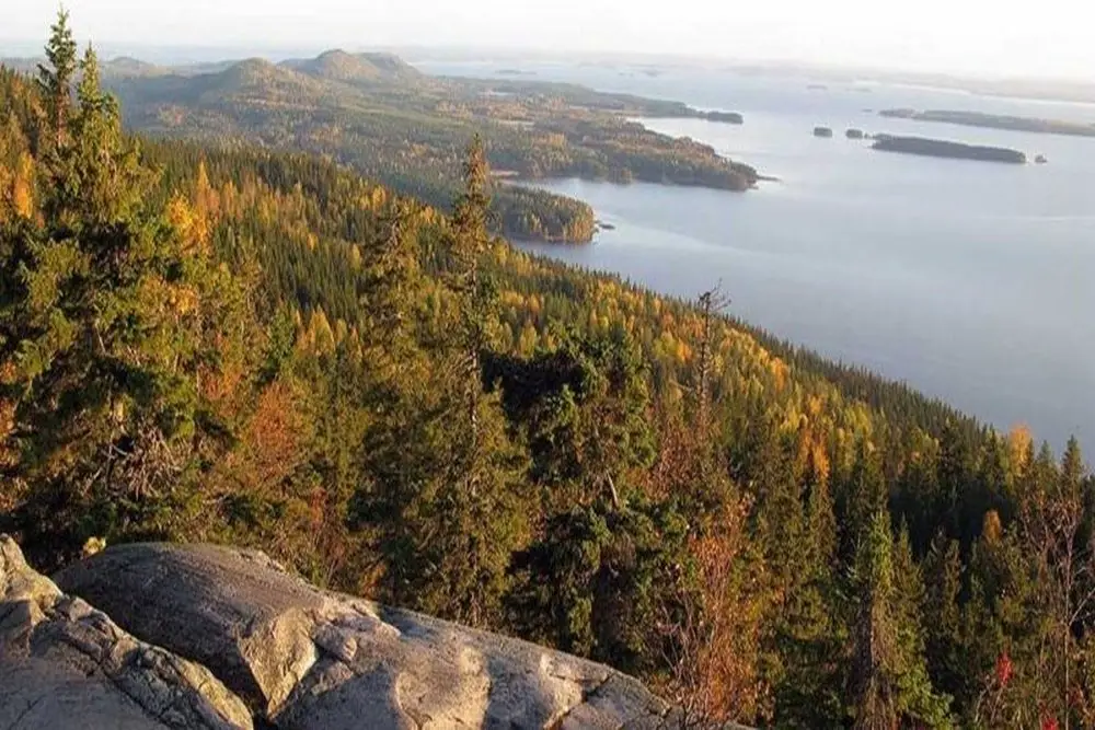 KOLI