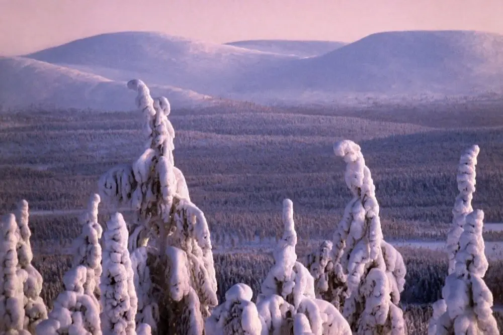 Midwinter