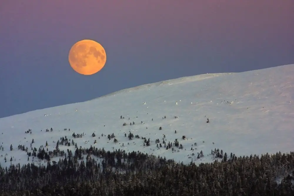 Moon