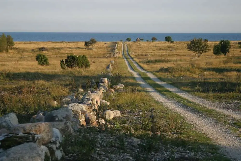 Gotland 2010 009