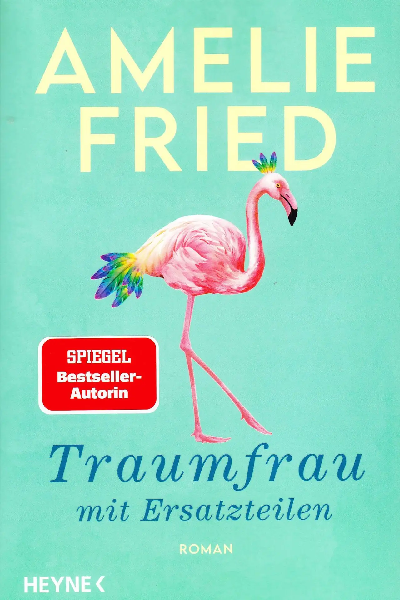 Du betrachtest gerade Traumfrau mit Ersatzteilen